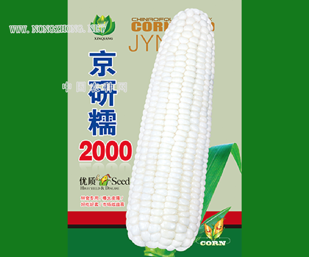 京研糯2000